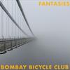 Bombay Bicycle Club - Willow