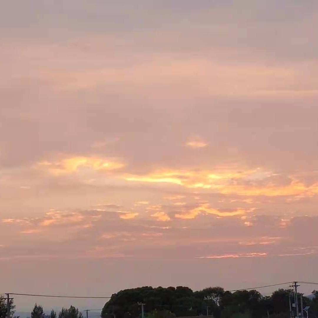 月色倒映在西湖（高迪版）