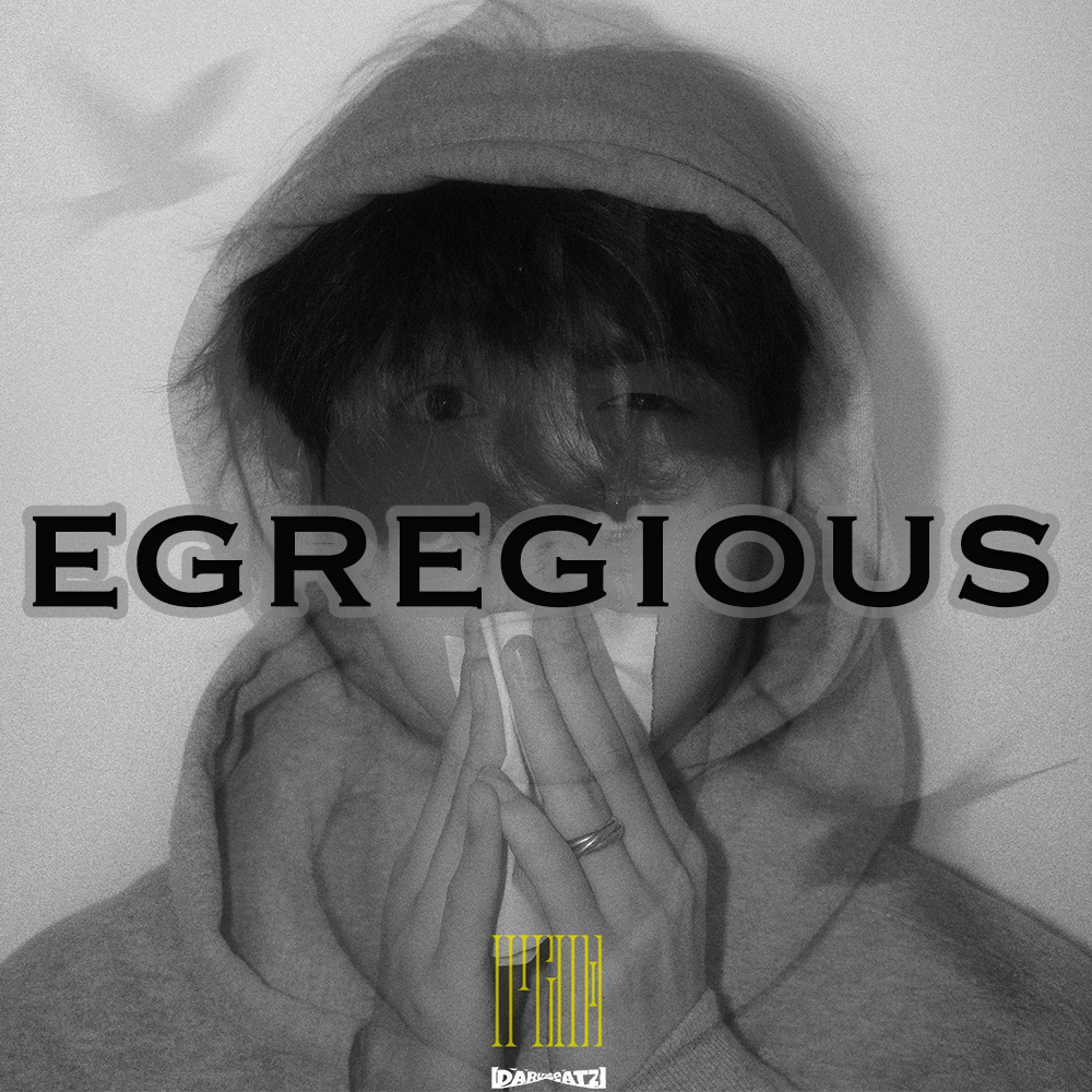 Free Rapeter x Boombap type beat “Egregious”