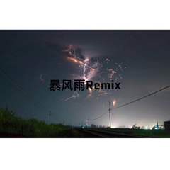 暴风雨Remix