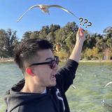 卓越的洋