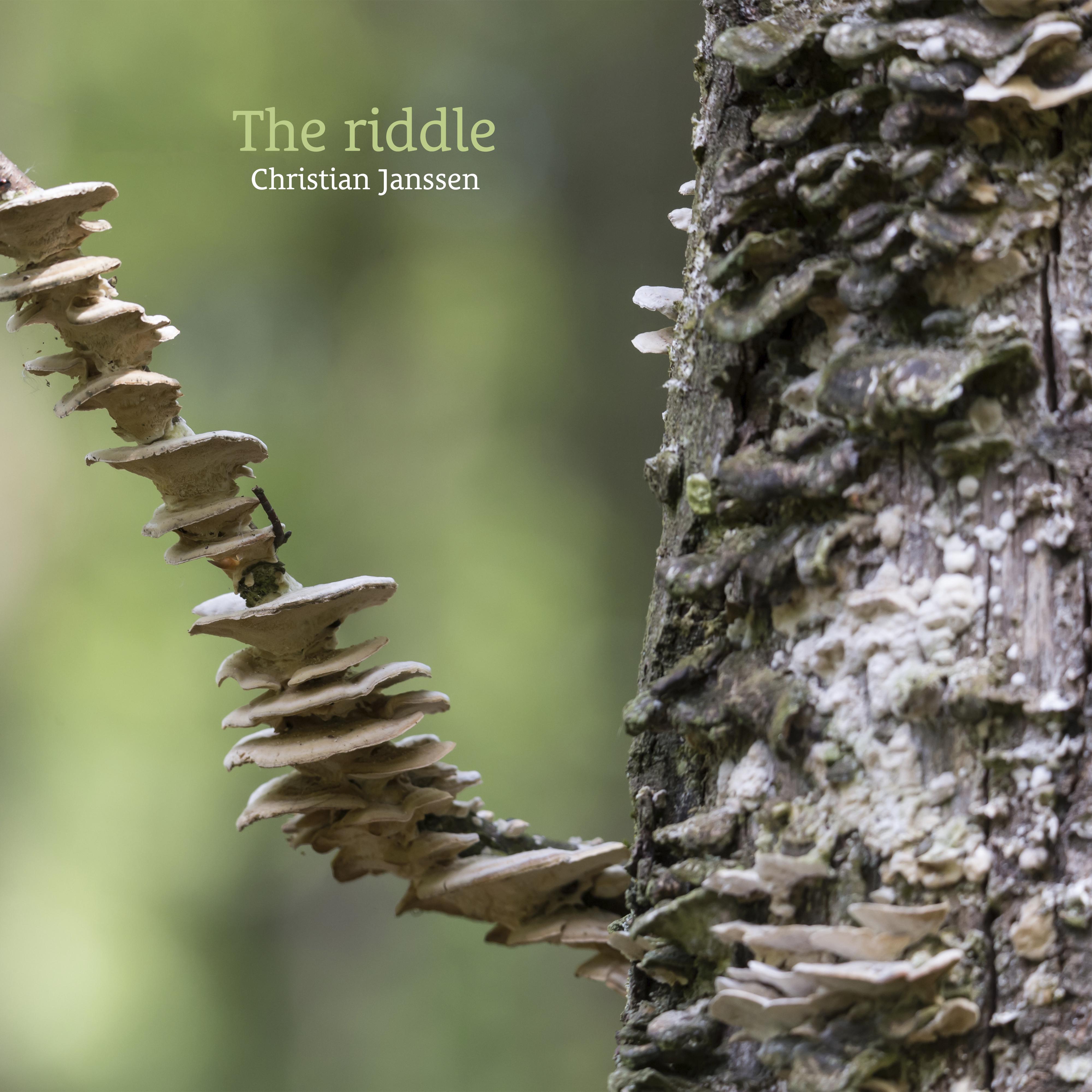 The riddle