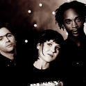 Throwing Muses