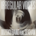 “IRREGULAR VOICES” feat 赤饭专辑