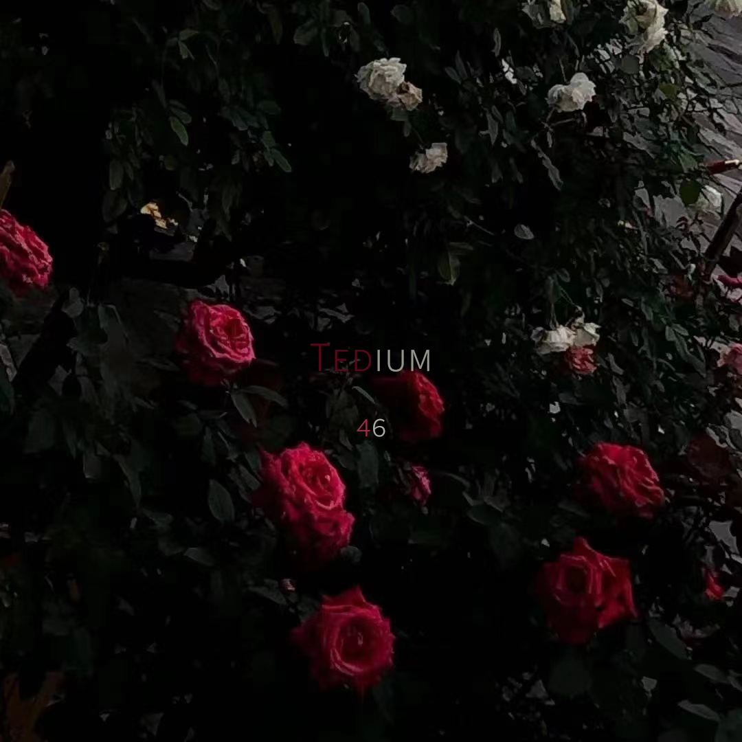 单调