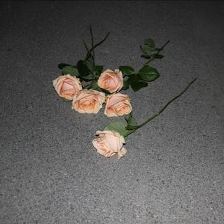 【韩】Jazz Hip Hop・爵 士 魅 影