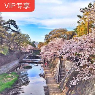 日本哥伦比亚唯美仙曲：春日尚好，清风如幻