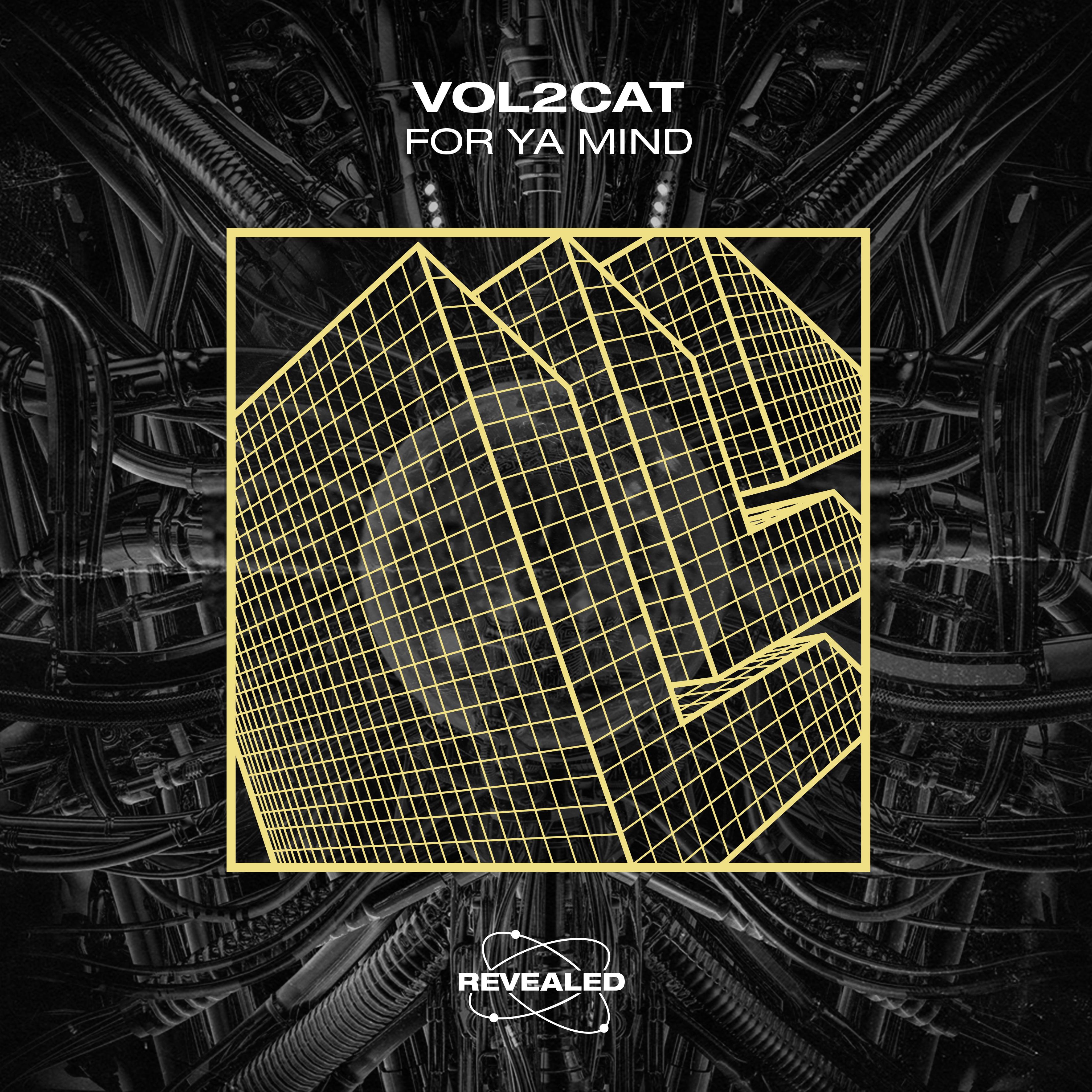 For Ya Mind (Extended Mix)