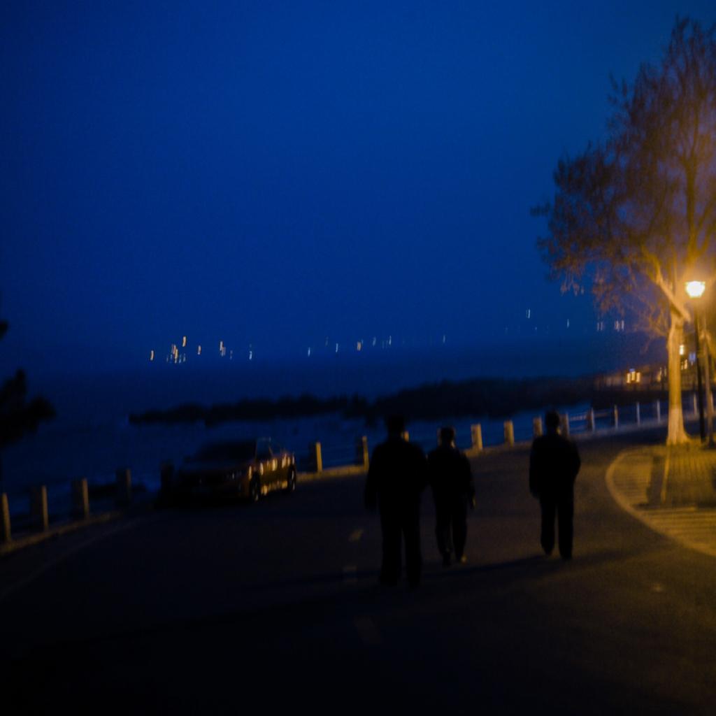 谁陪我在安静的午夜街道一边沉默一边唱歌