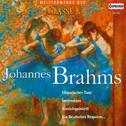CLASSIC MASTERWORKS - Johannes Brahms专辑