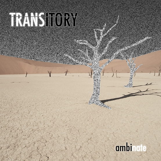 Transitory