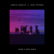 Real Friends (Leowi & NGO Remix)