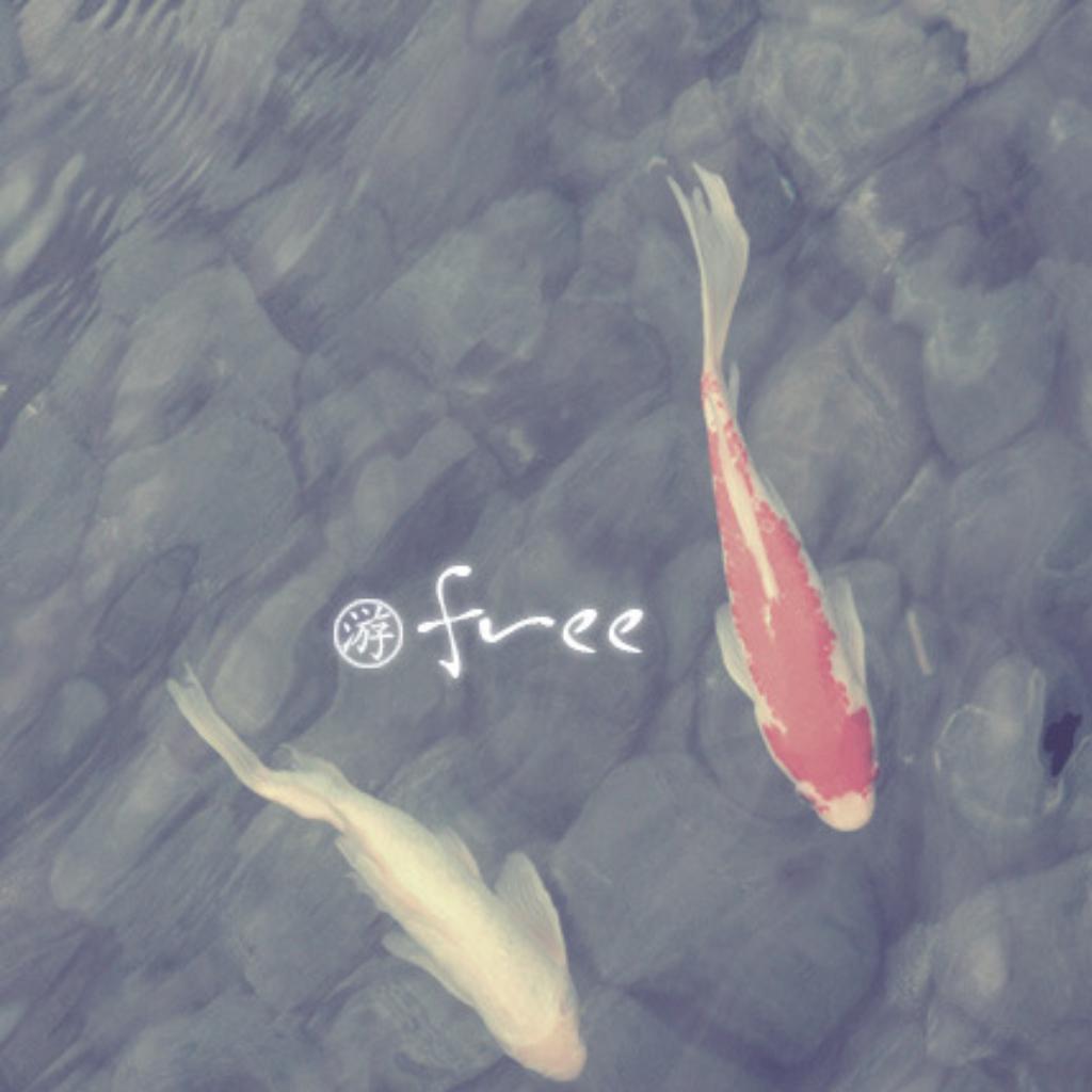 不疯魔，不成活 | 在线播放 | 网易云音乐