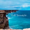 诉freestyle