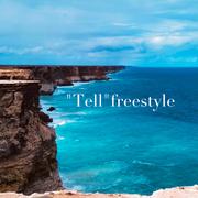 诉freestyle