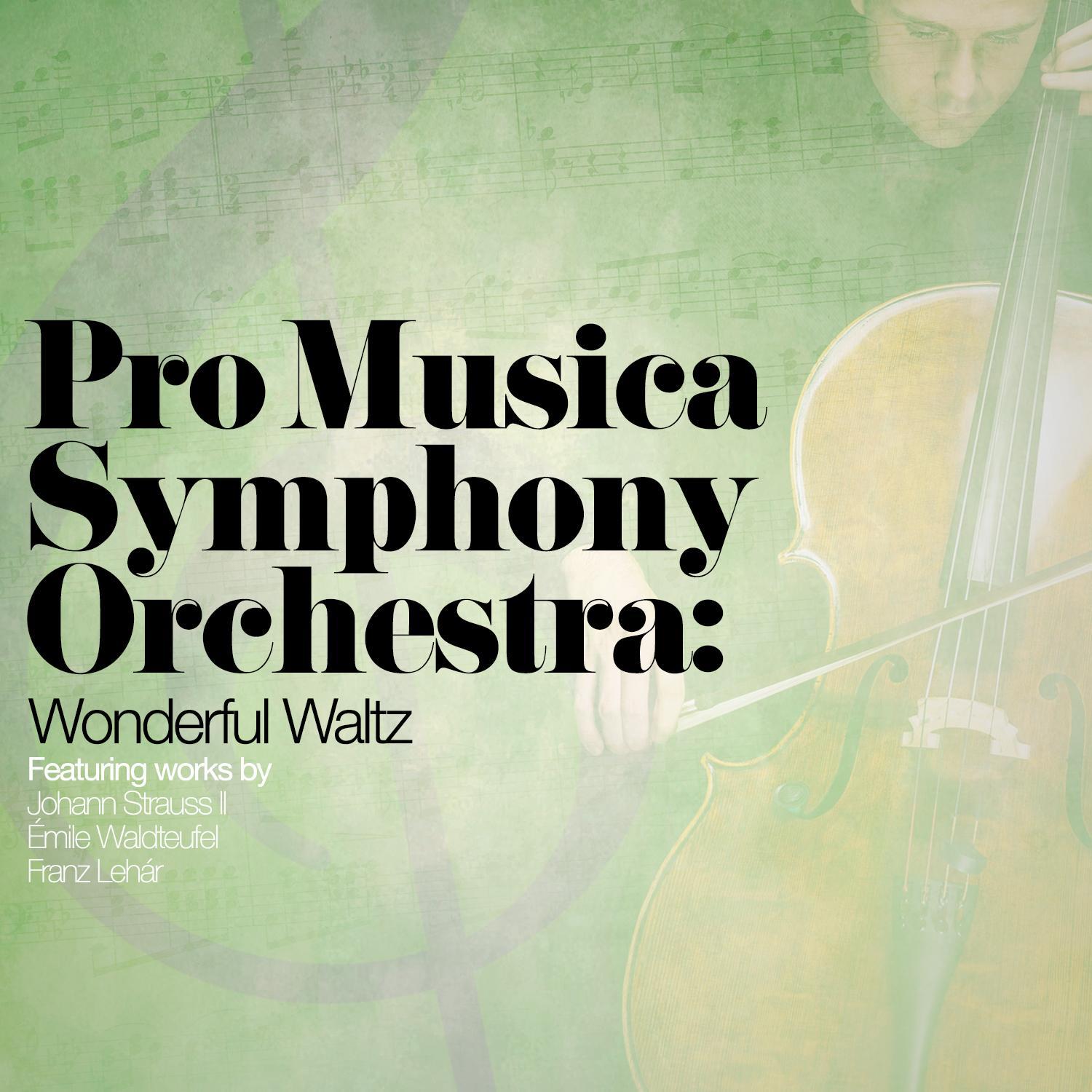 Pro Musica Symphony Orchestra: Wonderful Waltz专辑