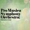 Pro Musica Symphony Orchestra: Wonderful Waltz专辑