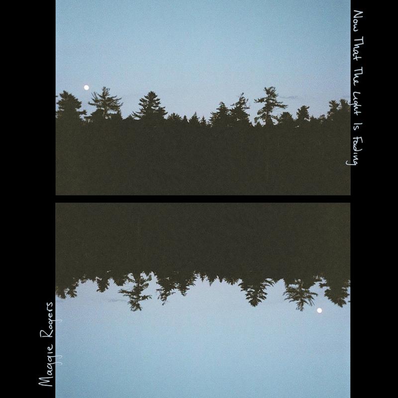 Now That The Light Is Fading