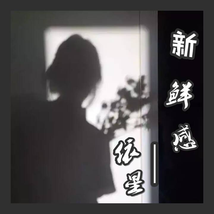 新鲜感专辑