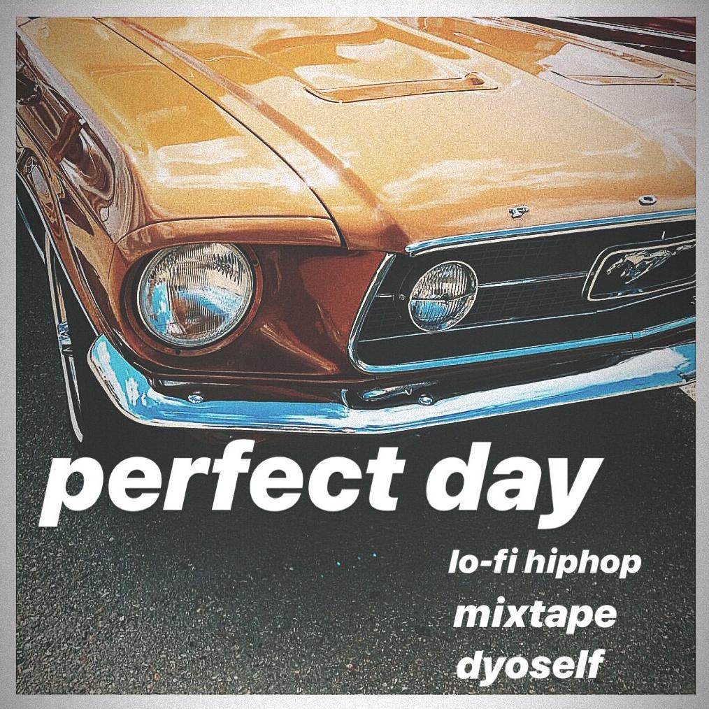 PErFeCT DAY - 天山摇摆客DyoSeLF封面