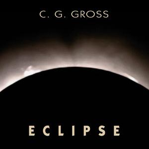 Nemesis - eclipse
