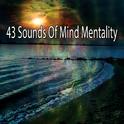 43 Sounds Of Mind Mentality专辑