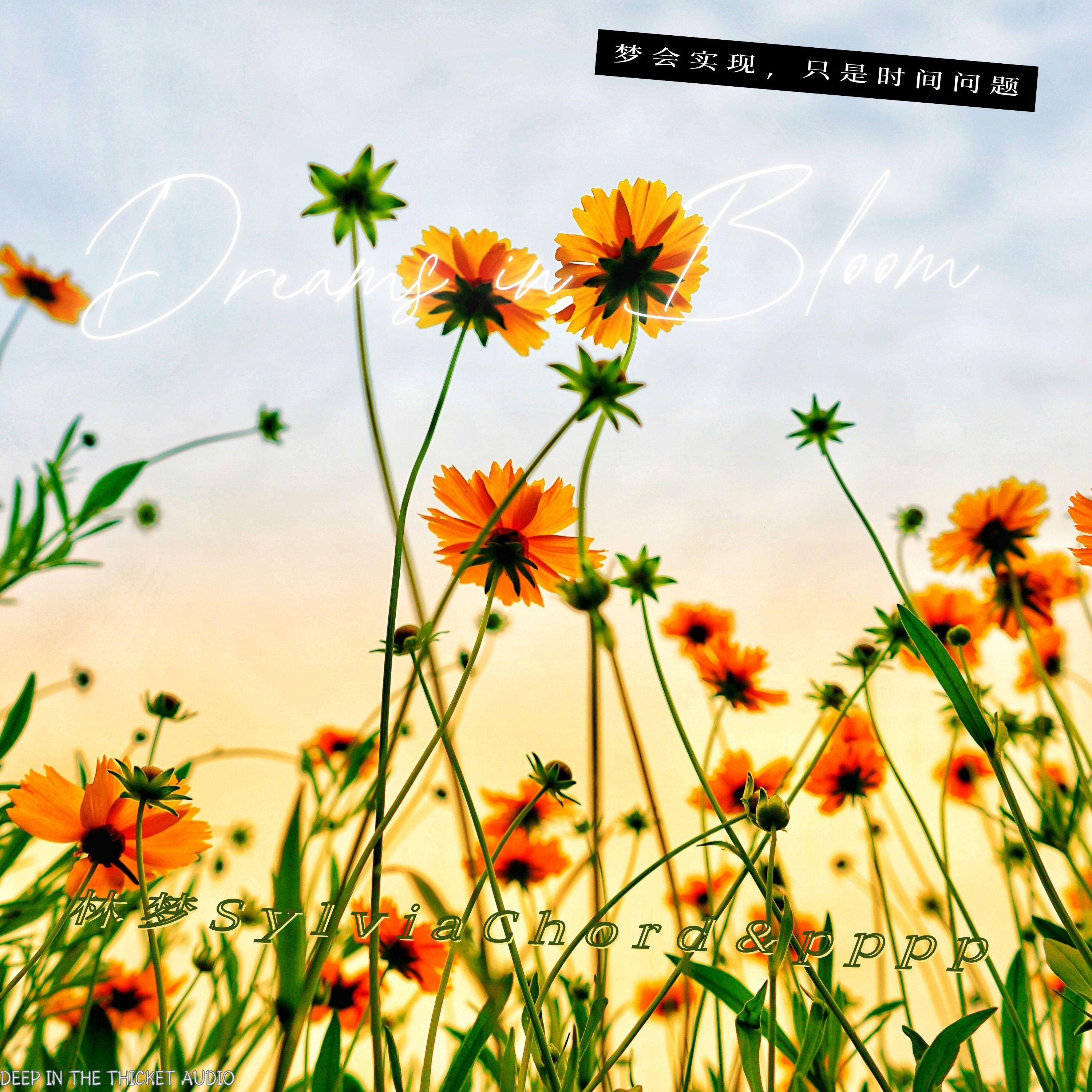 Dreams in Bloom