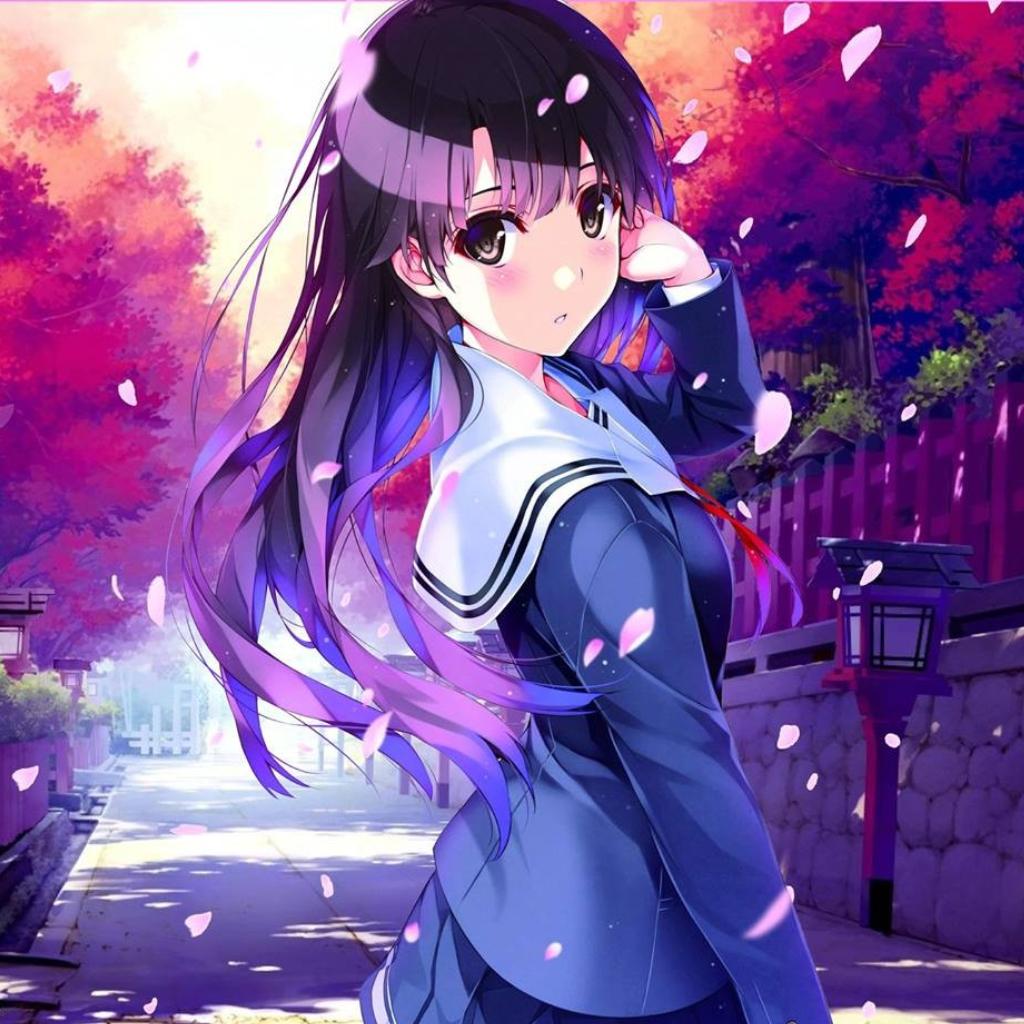 评论过千✿日系音乐合集~♪