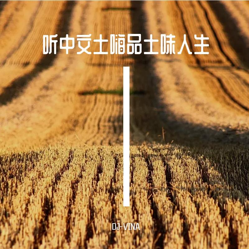 听中文土嗨