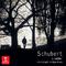 Schubert Lieder von Abschied und Reise专辑