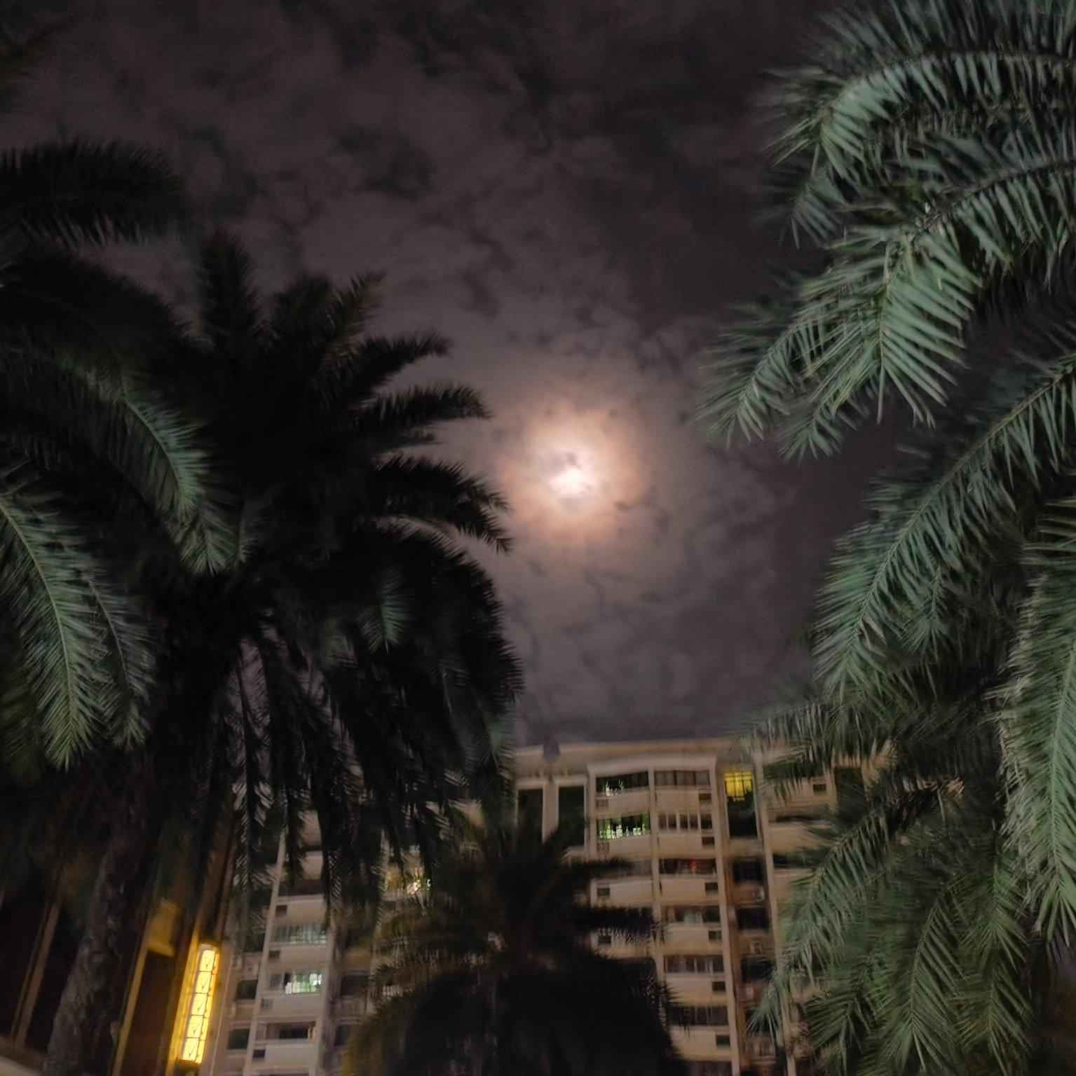 How Long Will I Love You (AA 'Una Mattina' )