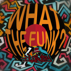 What The Funk 伴奏