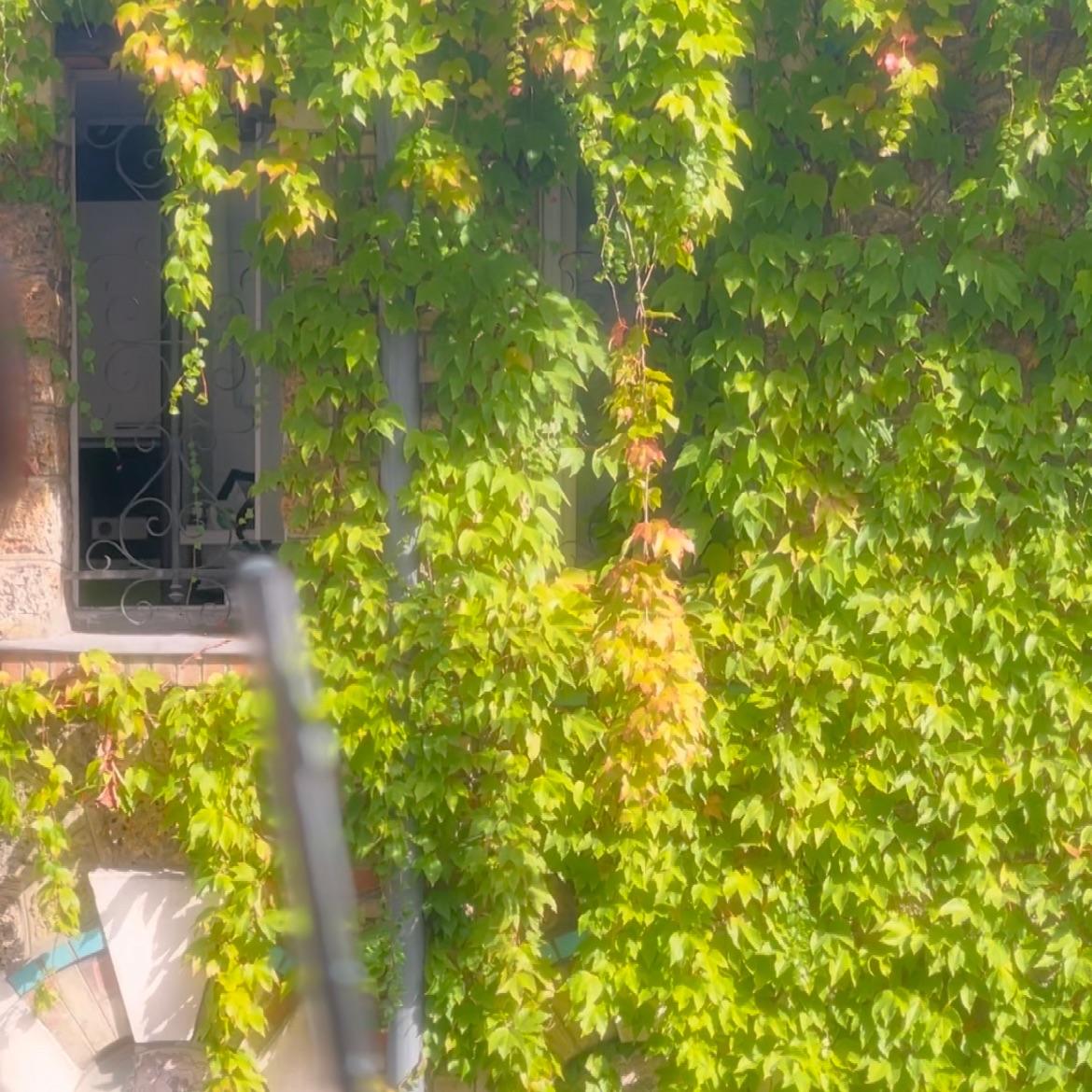 摩尔庄园-粒粒小广场【长笛版】