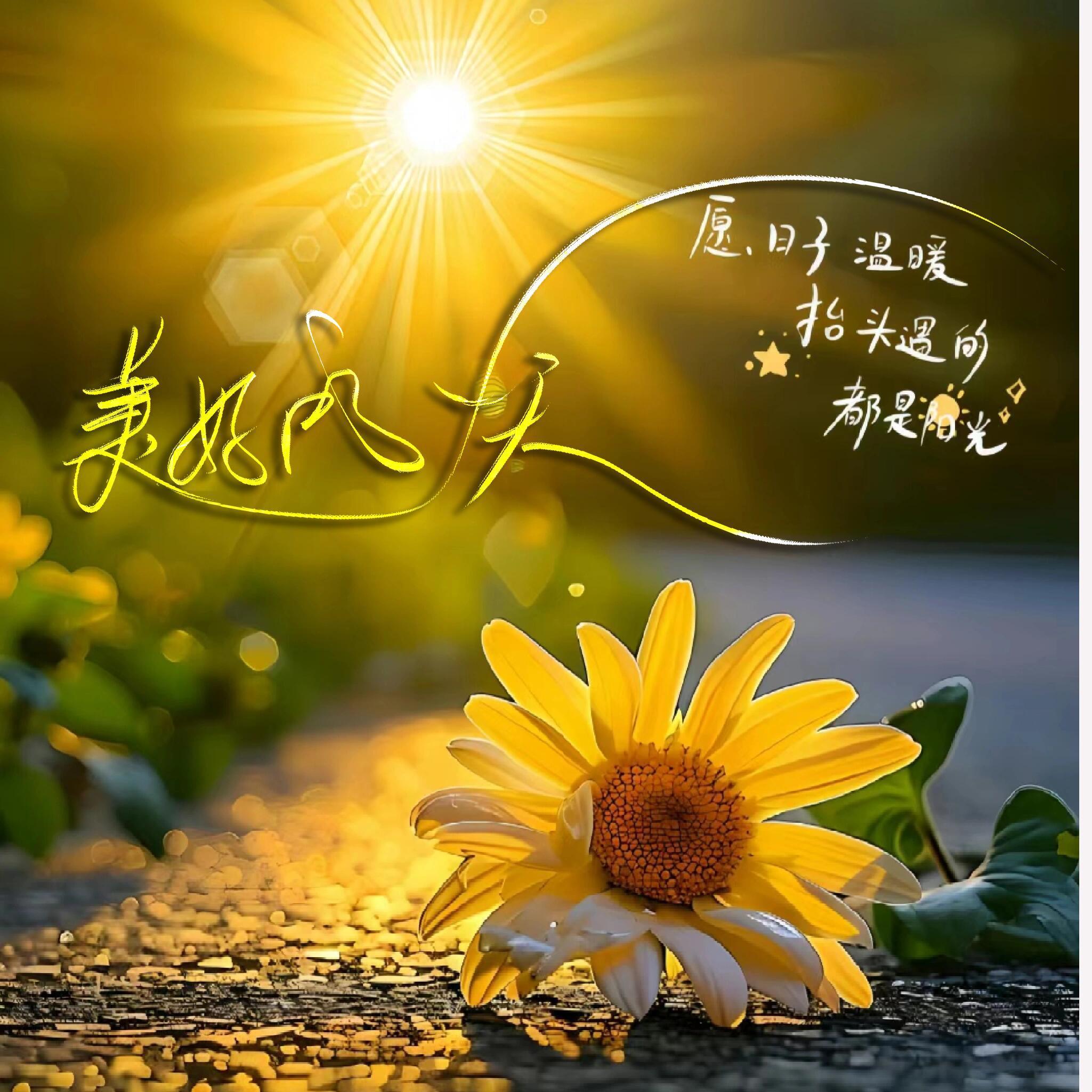 纯音乐（美好的一天）