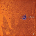 Cantoma(Music For Dreams)专辑