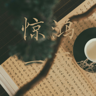 惊鸿一面