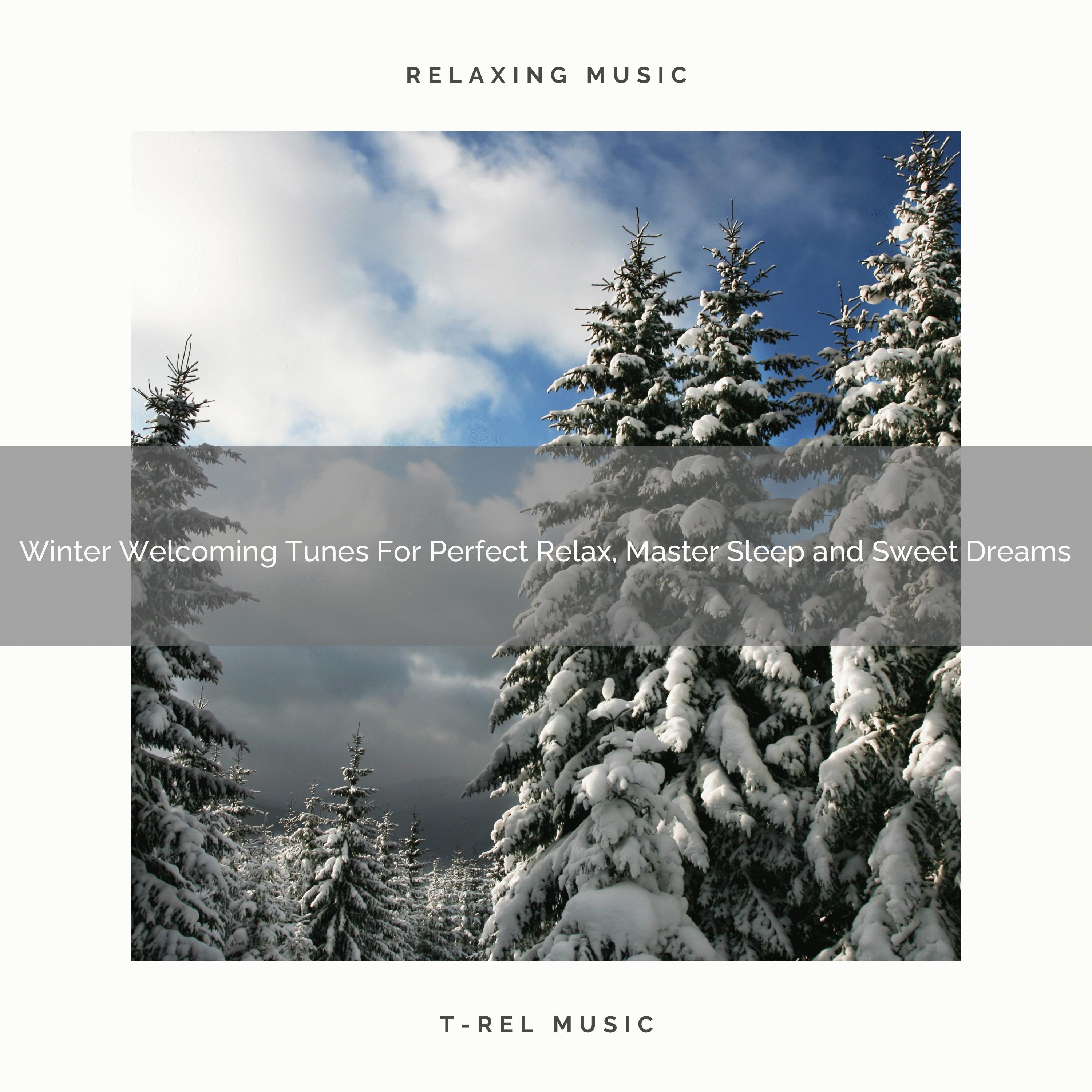 Winter Welcoming Tunes For Perfect Relax, Master Sleep and Sweet Dreams