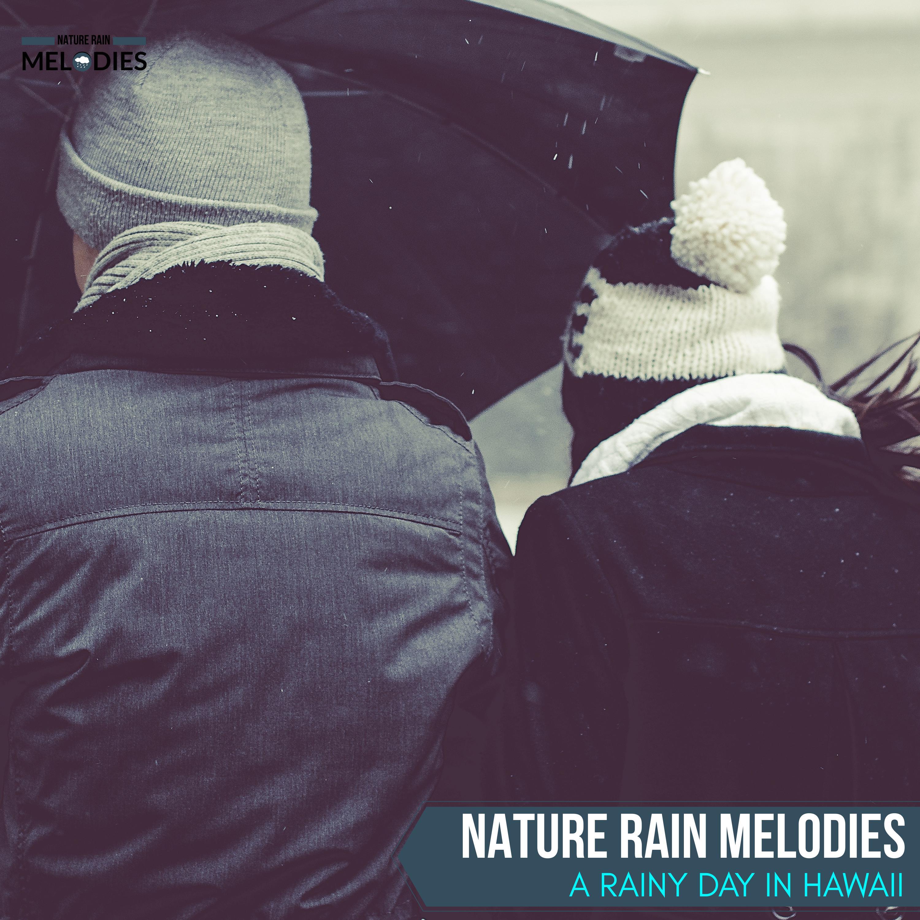 Multiple Drips Nature Music - Awful Freezing Rain
