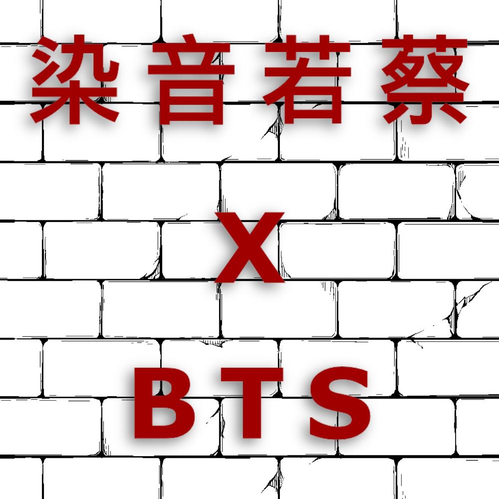 蔡蔡喜欢上了BTS防弹少年团专辑