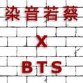 蔡蔡喜欢上了BTS防弹少年团