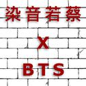 蔡蔡喜欢上了BTS防弹少年团专辑