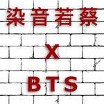 蔡蔡喜欢上了BTS防弹少年团专辑