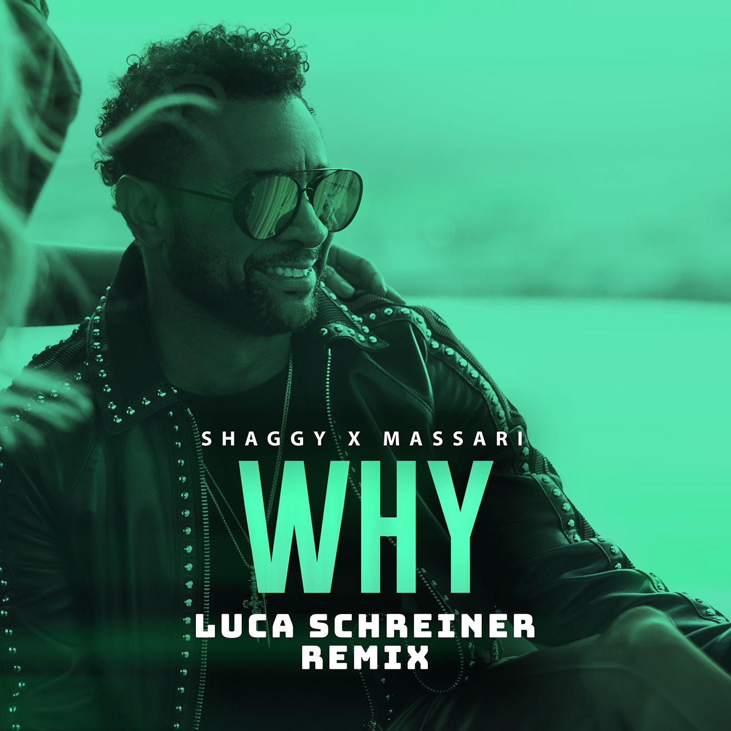 Why (Luca Schreiner Remix)专辑