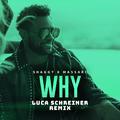 Why (Luca Schreiner Remix)