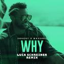 Why (Luca Schreiner Remix)专辑