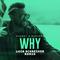 Why (Luca Schreiner Remix)专辑