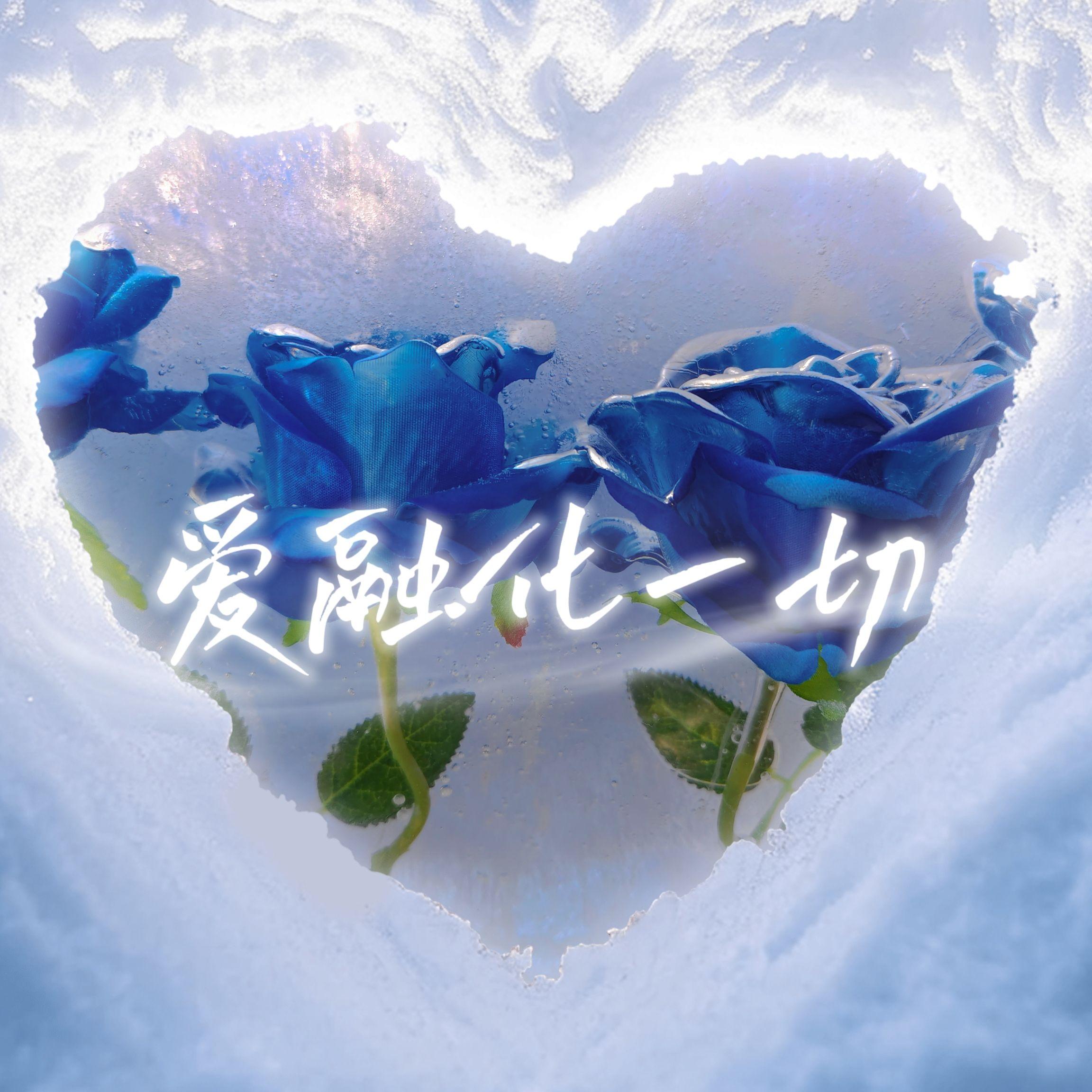 Dear D（cover：项睿娴）