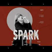 Spark(불티)（翻自 金泰妍）