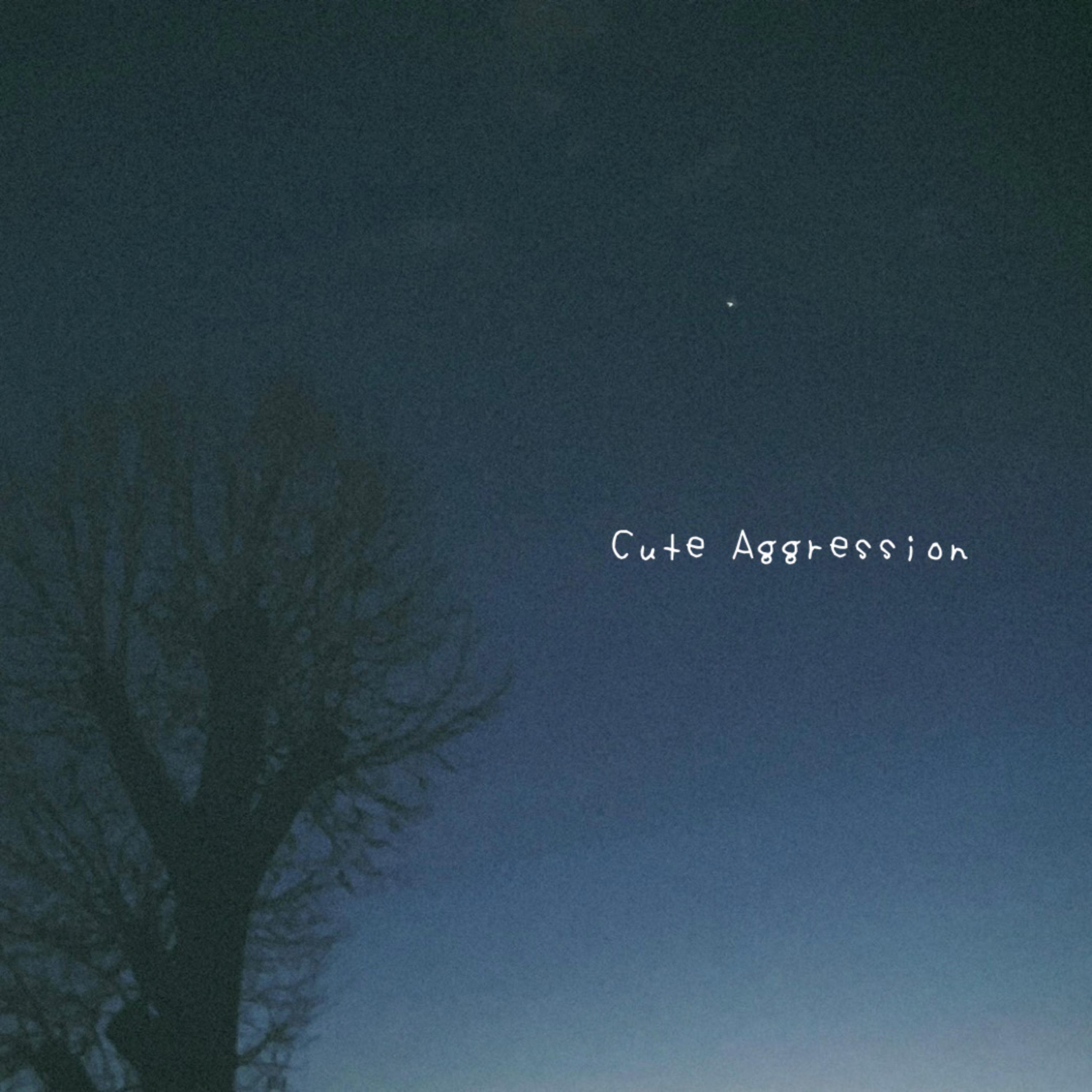 Cute Aggression