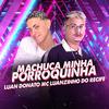 Luan Donato - Machuca Minha Porroquinha